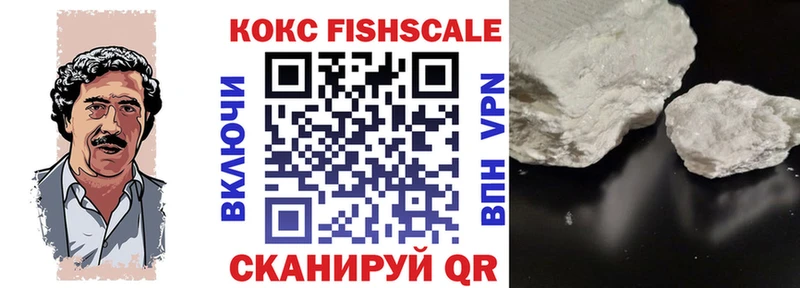 Кокаин Fish Scale закладка Малмыж