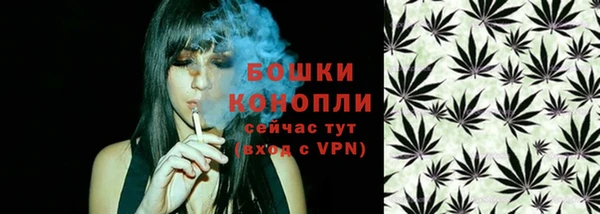 сатива Беломорск