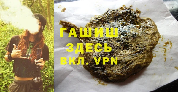 сатива Беломорск