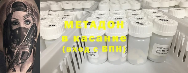 сатива Беломорск