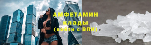 мдпв Богородск