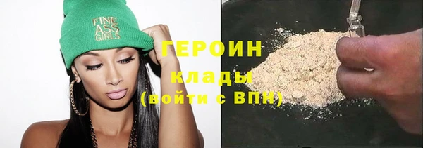 сатива Беломорск