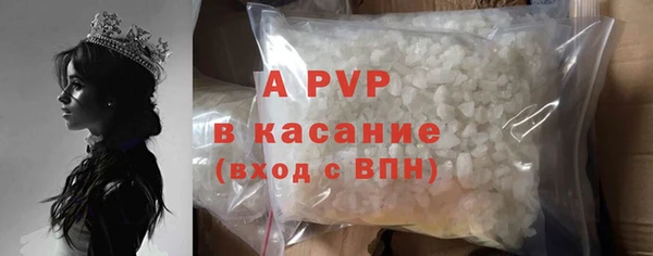 винт Богданович