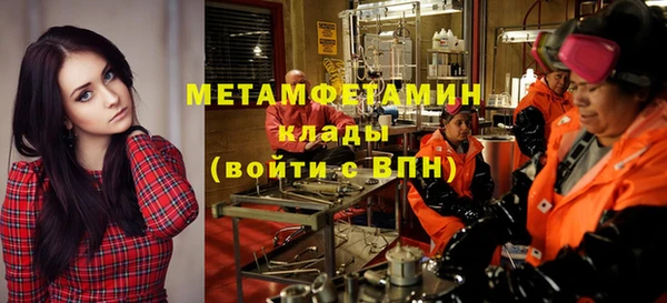 сатива Беломорск