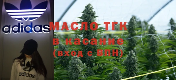 сатива Беломорск